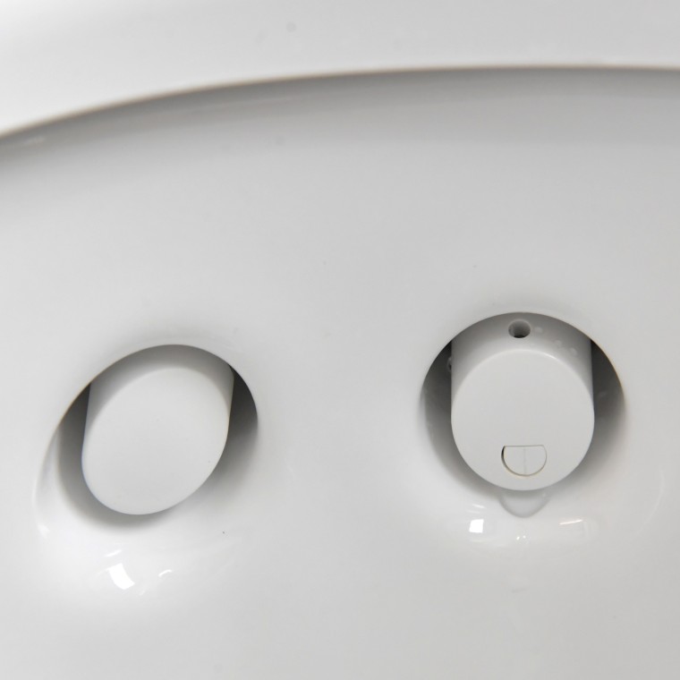 Verborgener Duscharm des Dusch-WCs Geberit AquaClean Mera Classic Verborgener Duscharm des Dusch-WCs Geberit AquaClean Mera Classic