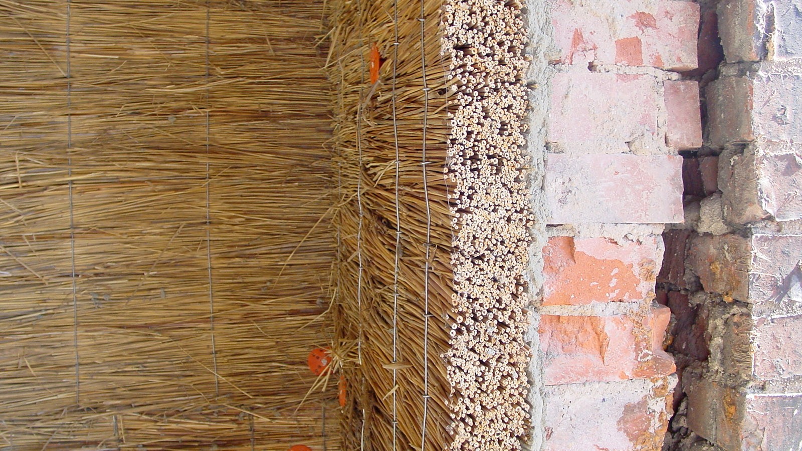 Wand aus Reet Wand aus Reet