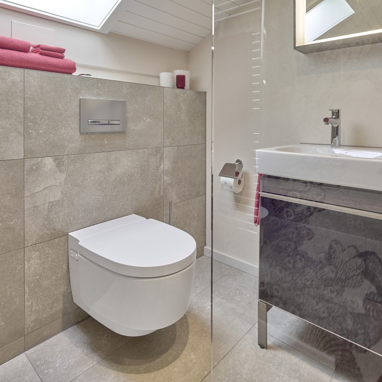 Dusch-WC Geberit AquaClean Mera Dusch-WC Geberit AquaClean Mera