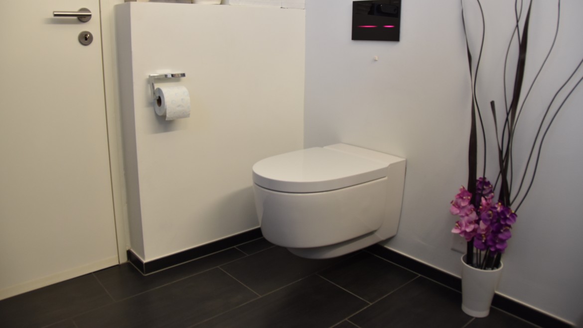 Badezimmer nach der Renovation mit Geberit Dusch-WC Mera und Sigma80 Betätigungsplatte Badezimmer nach der Renovation mit Geberit Dusch-WC Mera und Sigma80 Betätigungsplatte