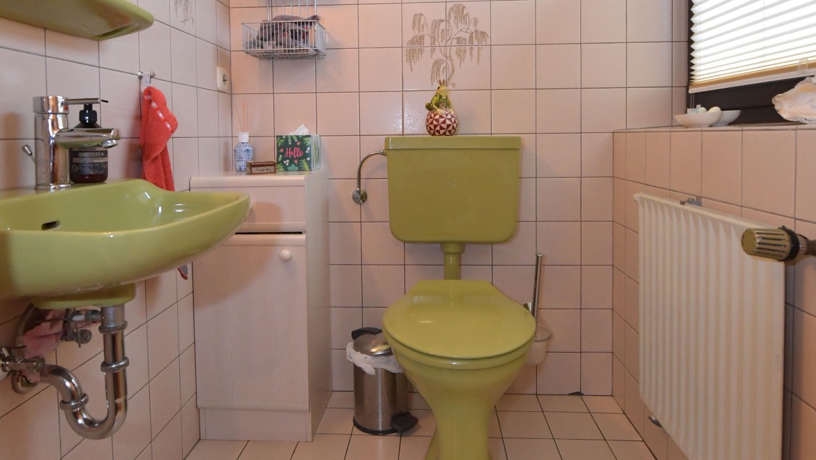Das grüne Gäste-WC aus den 80er-Jahren vor der Renovation