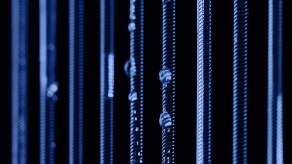 Wassertropfen gleiten gespannten Federn entlang (© Joan Minder)