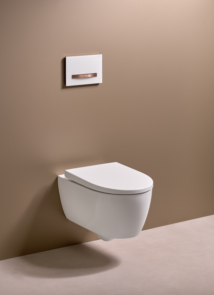 Betätigungsplatte von Geberit mit der die WC-Spülung ausgelöst wird Betätigungsplatte von Geberit mit der die WC-Spülung ausgelöst wird