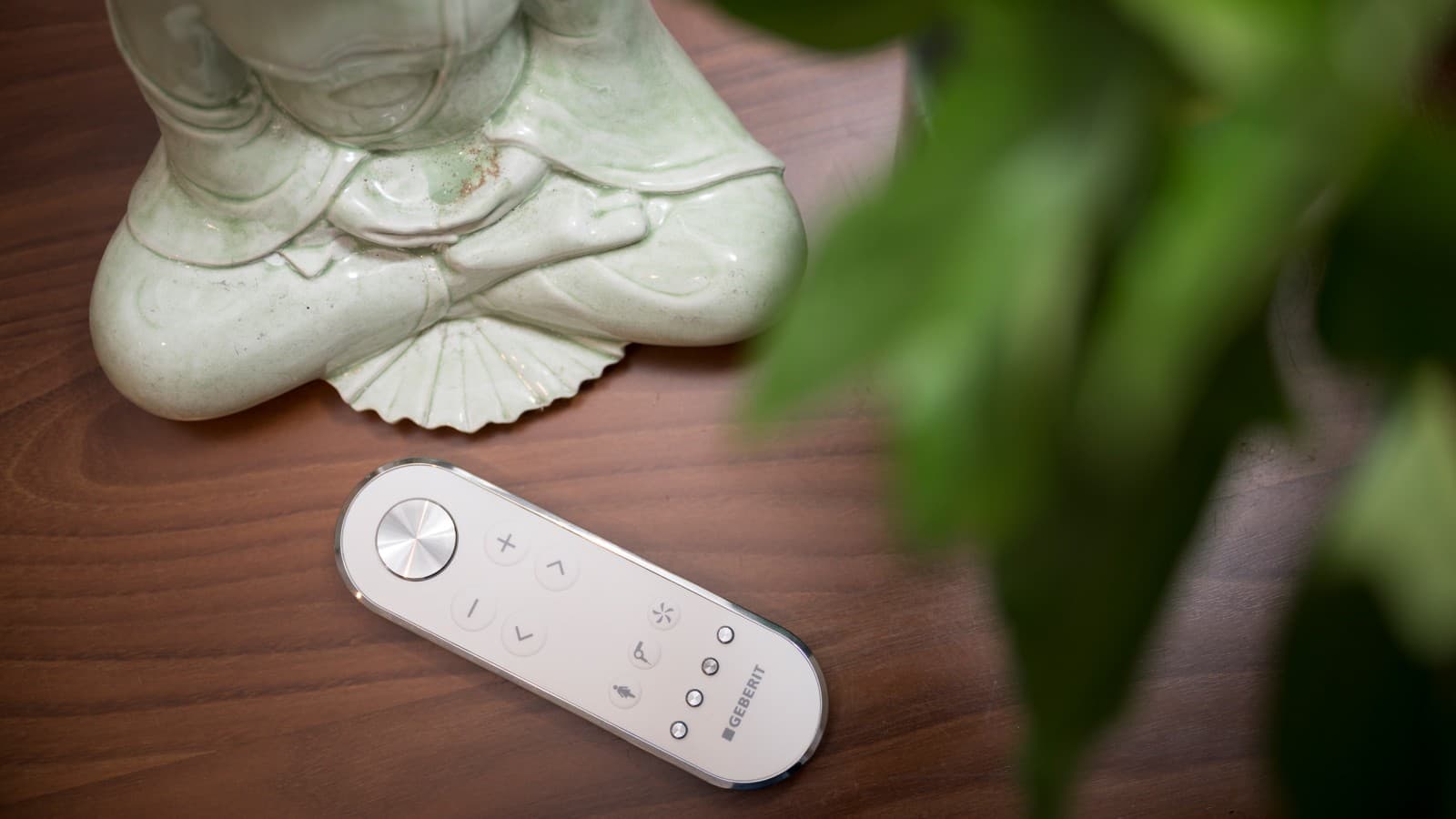 Fernbedienung eines Dusch-WC Geberit AquaClean Mera Classic Fernbedienung eines Dusch-WC Geberit AquaClean Mera Classic