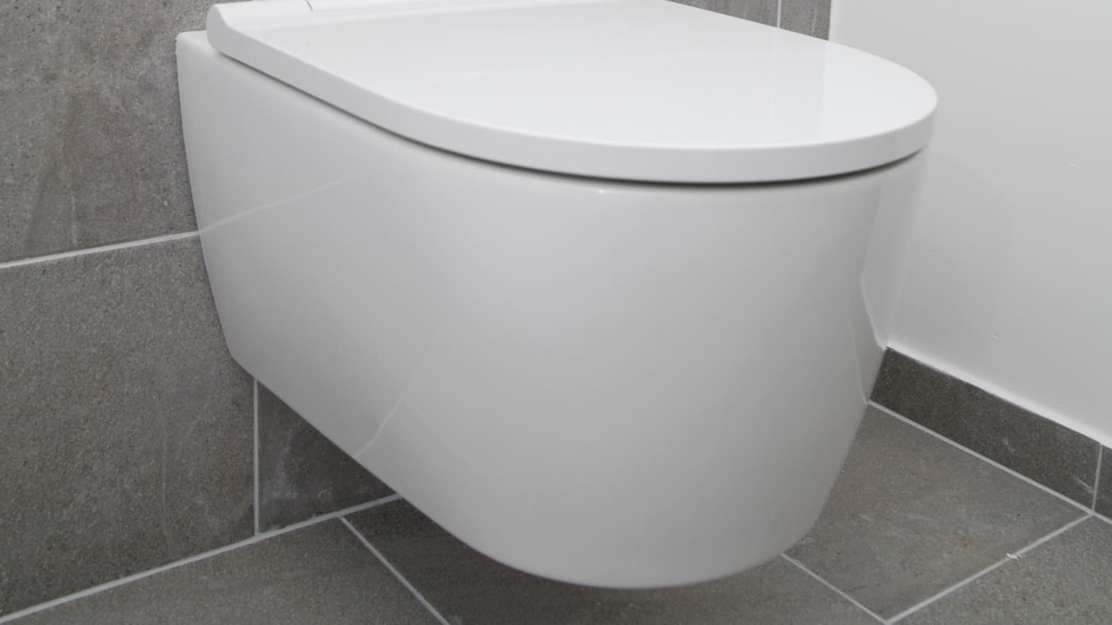 Geberit ONE WC mit geschlossenem Deckel Geberit ONE WC mit geschlossenem Deckel