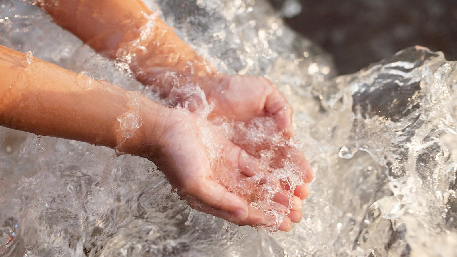 Das grüne Badezimmer Das grüne Badezimmer