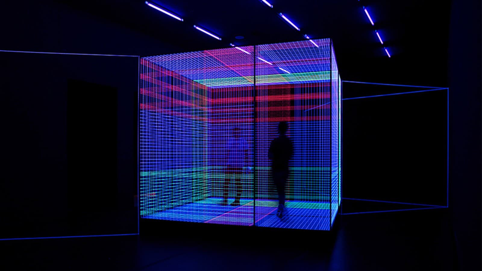 Installation "Birdcage" Installation "Birdcage"